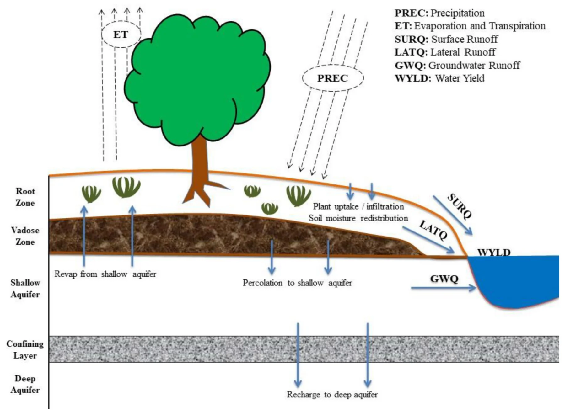 SWAT Modelling & Nature-Based Solutions — Northern Thailand